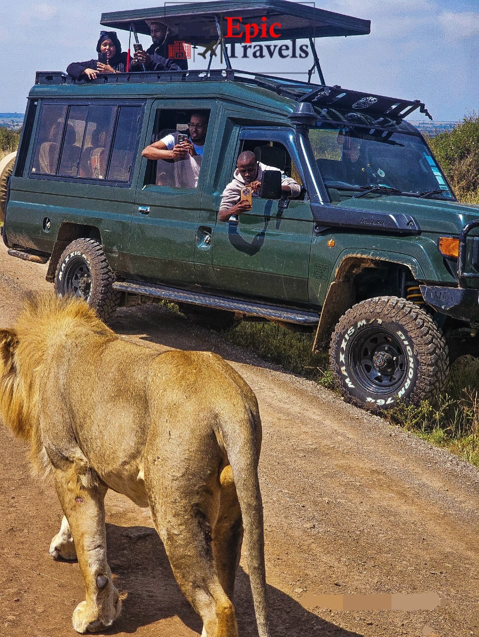 Tours & Safaris